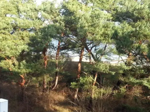 Meerblick Heringsdorf