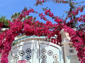 Apartment For 2 - 4 People Just 100m From the Sandy Sea