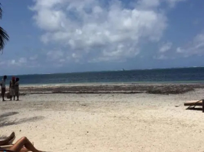 Cowrie Luxury Beach Studio