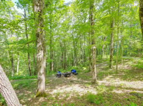 Secluded Mountain Escape w/ Game Room & Fire Pit!
