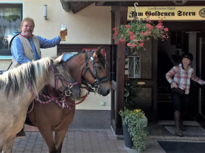 Hotel-Restaurant Zum Goldenen Stern