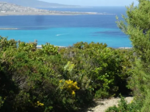 Case Vacanza Cala Lupo