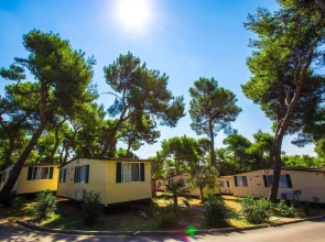 Arena Indije Camping Homes