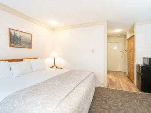 Mountainside Inn 309 1 Bedroom Hotel Room by Alpine Lodging Telluride