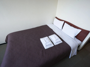 Hotel Select Inn Tsuruga