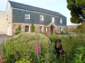 Twitchen Farm Bed  Breakfast