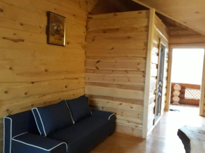 Cottage Radomyshl'