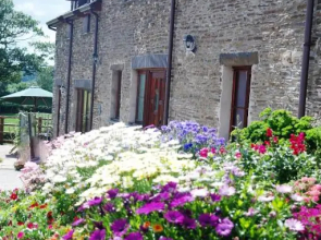 Gwarffynnon