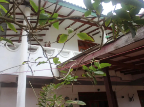 Eco Beach Hotel & Ayurveda Spa
