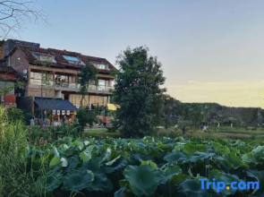 Wild House Villa Sunset Lake View Coffee Designer Hotel