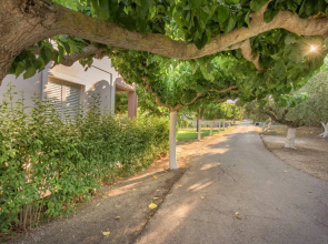 Natasa Studios Zakynthos