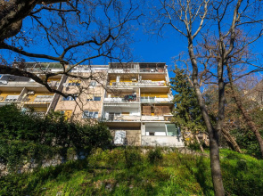 Apartman Jasmina 2