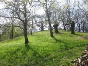 Agriturismo podere casano