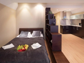 Specious Studio Apartment near of Town Center and Park, up to 4guests