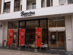 Guest House Banvina - Hostel