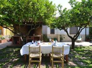 Detached House, 100m From the sea With Garden and Terrace. Best Belvilla 2016!