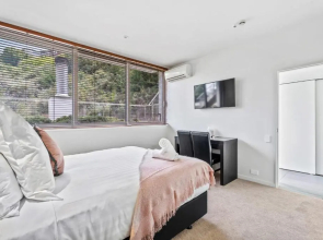 Tranquil Modern Studio