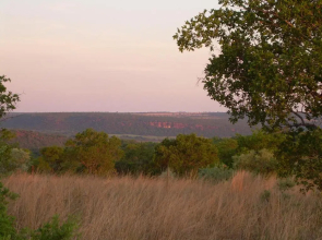 Five Pebbles on Piece of Africa