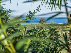 Myrties stone houses - Ta Petrina