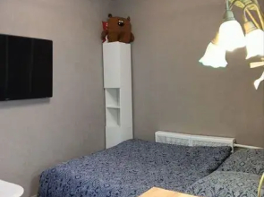 Apartment 35 at 17 Chekhov Street