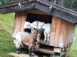 Schneiderhof