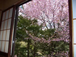 Onsen Minshuku Kofuji So