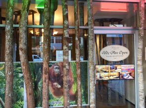 Rainforest Budget Stay