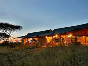 Nyikani Camp- Central Serengeti