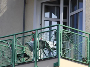 Apartment Schmidt Haus Hühnergott