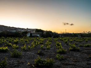 Sn Santorini Apartments
