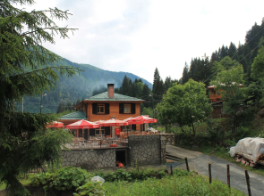 Ayder Avusor Butik Otel