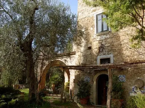 House Falcesca Buccino