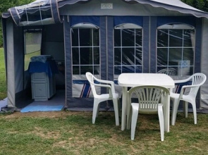 Mobile Homes Surrounded by Greenery
