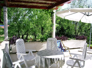 Pine Wood Oasis Apartments