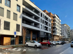 Historical Beer - Stein