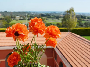 Villa Maria Pia