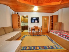 Apartment Viki