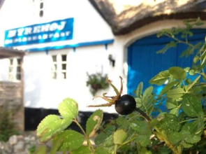 Myrehøj Bed & Breakfast