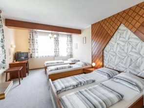 Austria Traveller Hotel Lenzing
