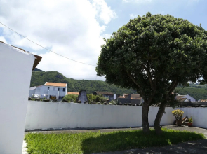 Magnólia
