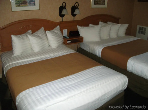 Pepper Tree Inn