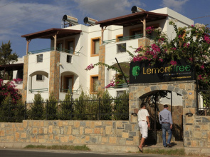 Lemon Tree