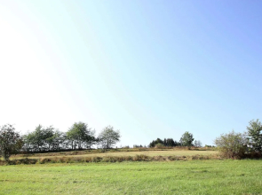 Cosy Apartment in Medebach with Terrace