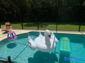 Beautiful Pool Home near the I95 Exit 284