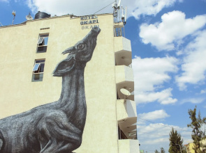 Okapi Hotel