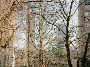 Stylish Minimalism in Kirchberg