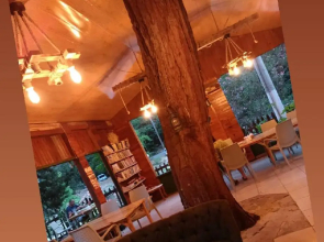 Canario Bungalows Pension