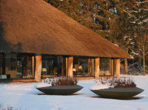 Mollenvlied