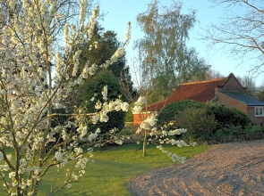 Field Cottage Bed and Breakfast