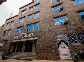 OYO Flagship 14394 Shree Palace